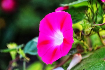 D84510BF-AD39-4176-B064-453C5D8361D3/L0/001
