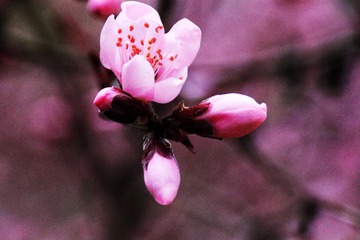 183A8362-B259-4574-90CB-E6661AE9FF6B/L0/001
