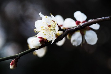 C3223ABC-C858-4623-B9F2-178A97922EB6/L0/001