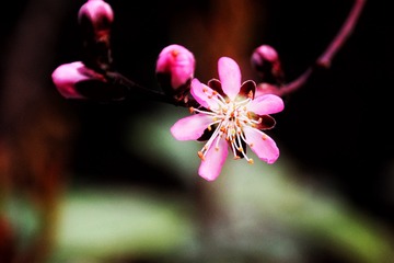 E82E8AAC-94D7-4FA0-A4A5-C9197C1E78B0/L0/001