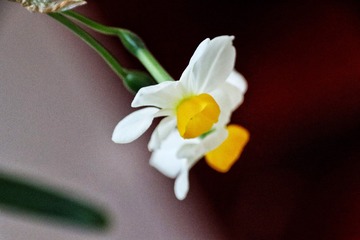 563C6425-F8E5-4270-A2F9-2FBA9CB710F3/L0/001