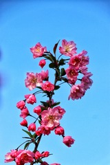 67BD07D6-6F36-456F-9FE2-317D4D2DE2C6/L0/001