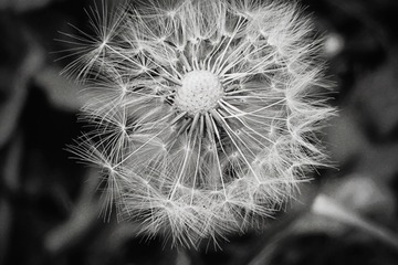 47C109FE-5048-4D00-9E01-2A01C5549887/L0/001