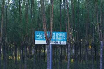 7F602CED-6855-4929-B20C-2C623F8F6B51/L0/001