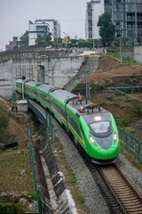 775206