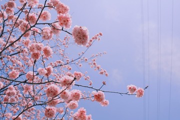 8583D503-79FE-4AFF-897C-47D02C9D3731/L0/001