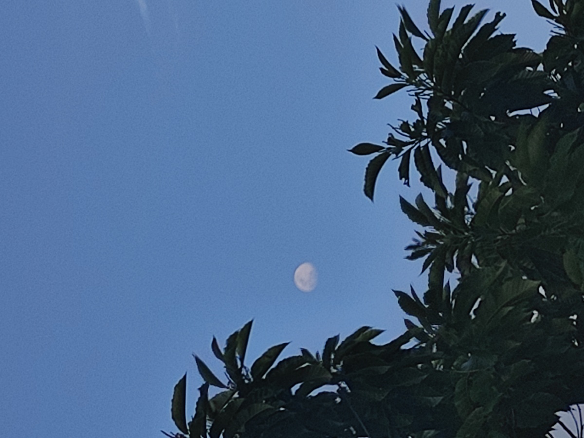 蓝天加月亮 - 三牧sunmoon - 图虫