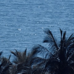 B484379A-B386-492F-B9D6-6FF0E2BEFDAC/L0/001