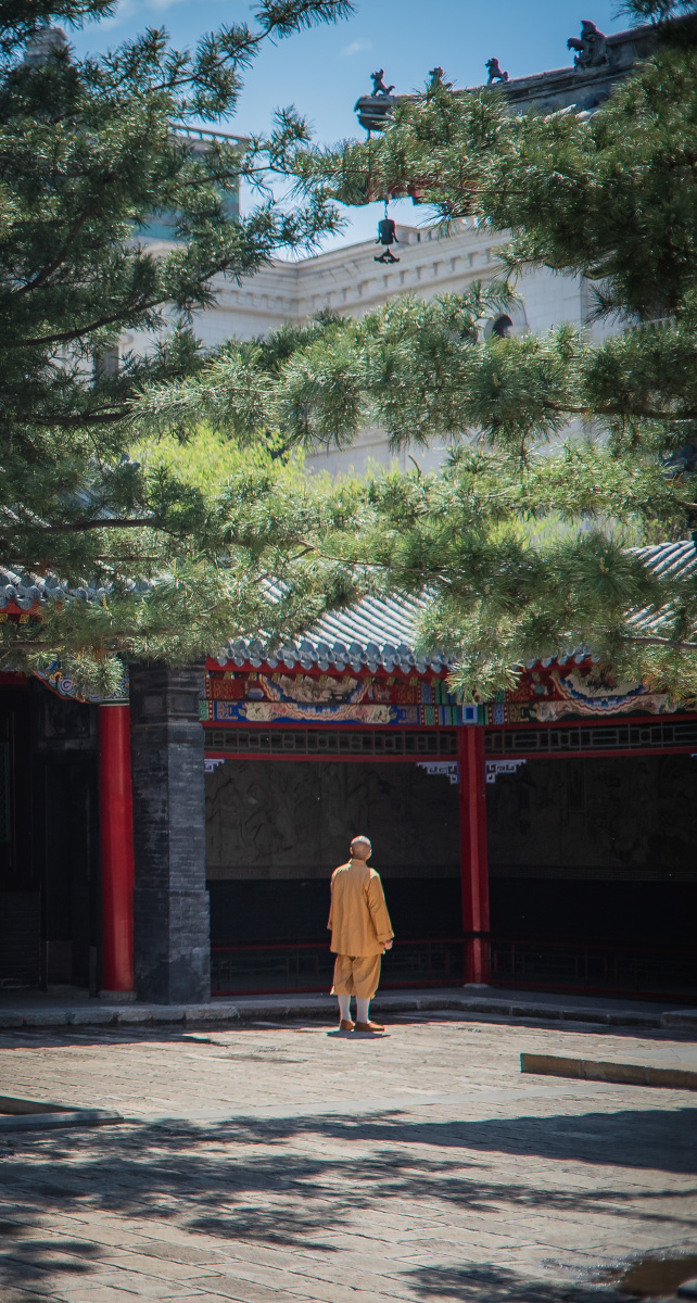 沈阳长安寺相传是唐太宗李世民东征高丽路过沈阳时命门神尉迟敬德督建