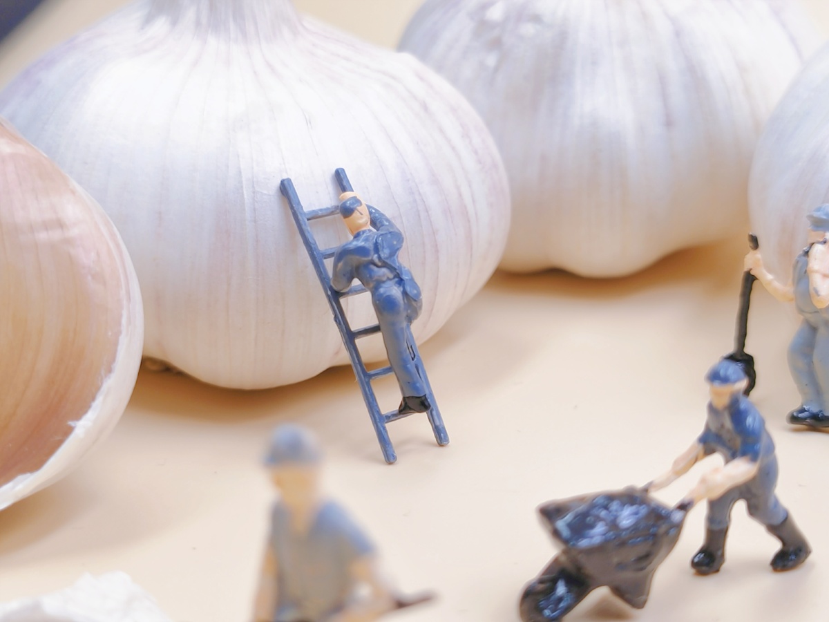 微缩小人摄影小人国的大蒜00够炒几年的菜