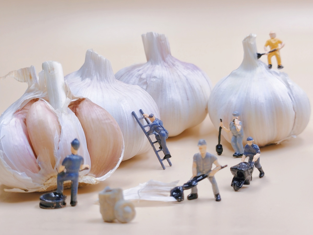 微缩小人摄影小人国的大蒜00够炒几年的菜