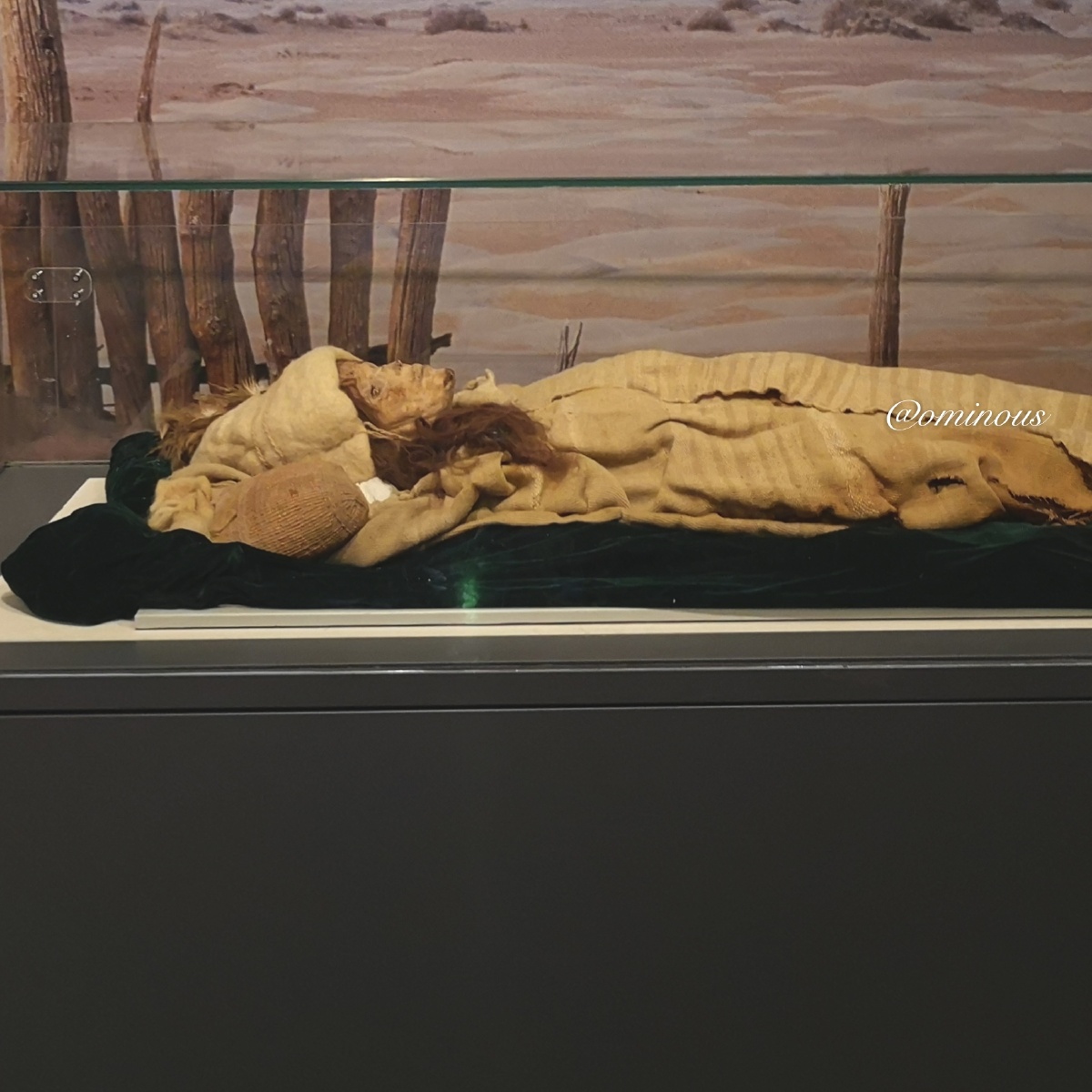 胆小慎看北大博物馆沉睡的小河公主保存千年之美79名不虚传