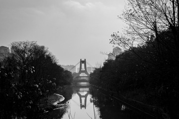 L1041919_1
