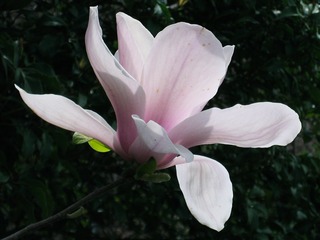 140252