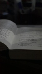 48644