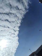 1000011084