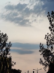 1000025206