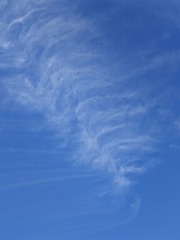 1000035139
