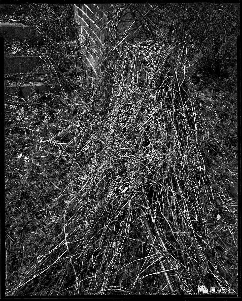 刘小强810大画幅摄影作品