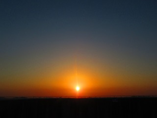 3667863