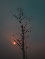 A77F05C0-8F75-4F5B-807F-3A5C15DDC6A4/L0/001