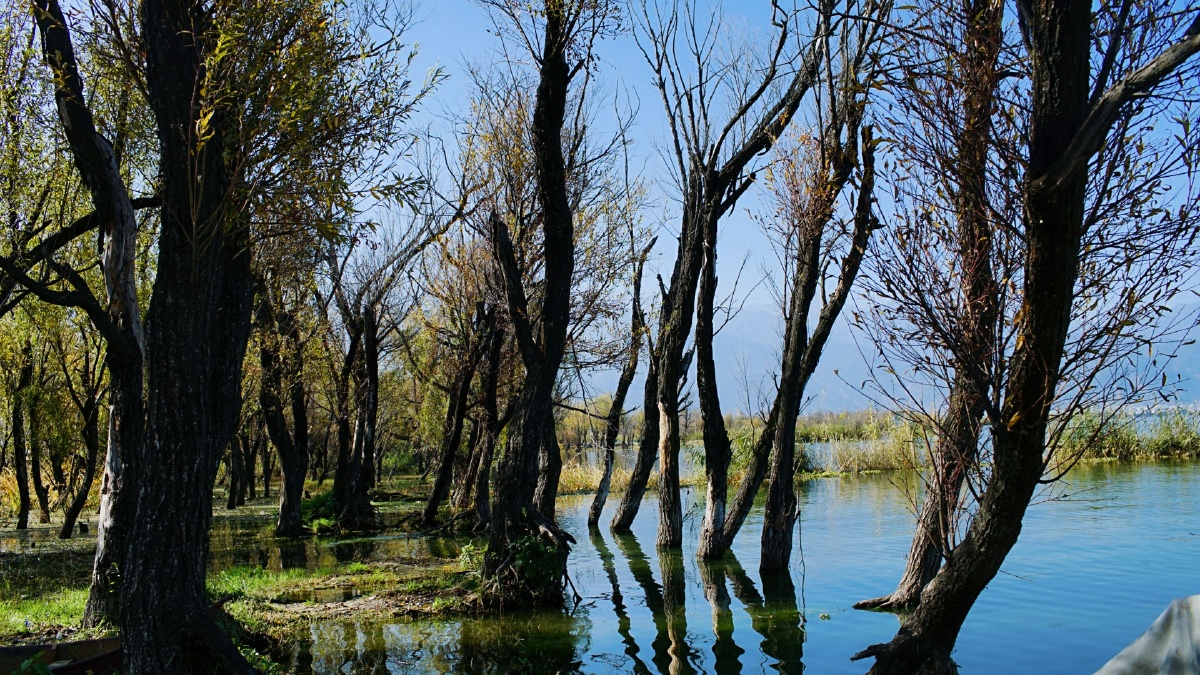 骑车洱海环行十公里 - 旅行 - 大斌704