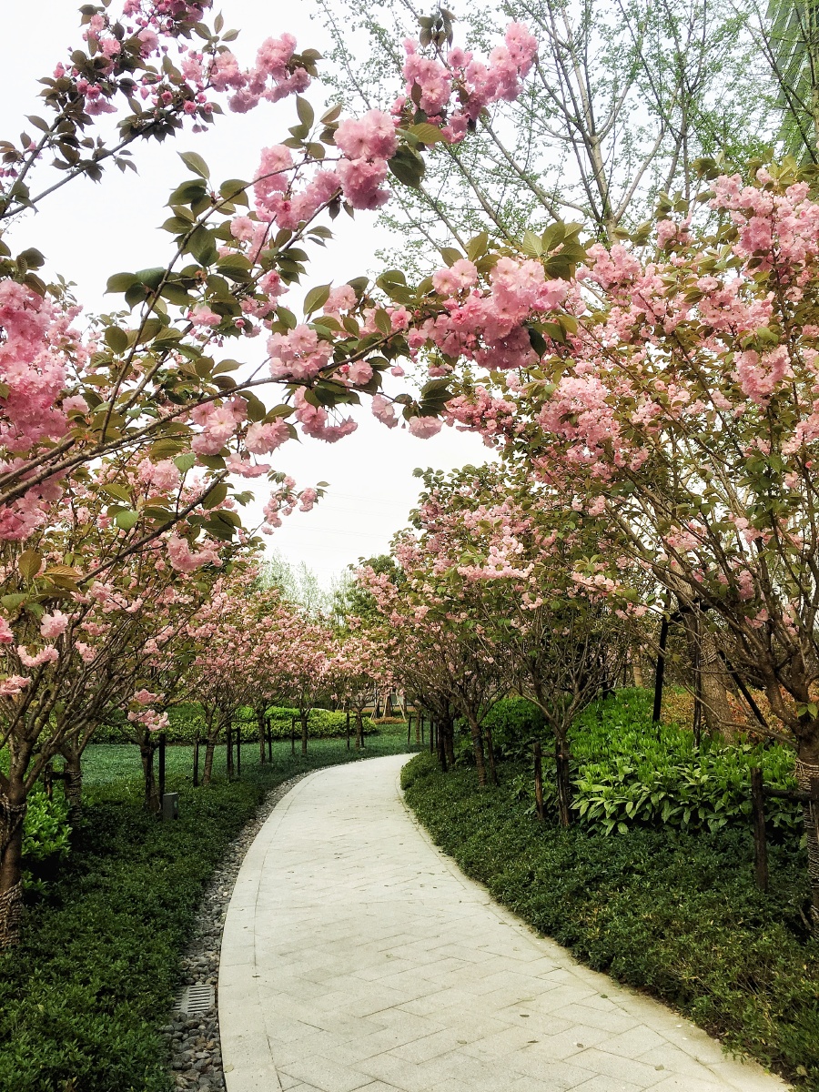 宁静以致远 淡泊以明志