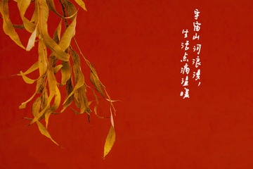 3B9DE7C6-E664-494E-8CDA-8785AFC4EC1F/L0/001