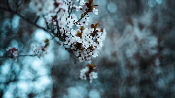 FF18D899-02E1-42F2-B272-6479941AB0BF/L0/001