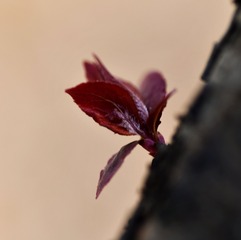 2553964