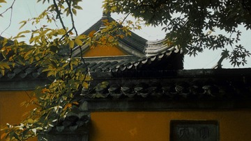 35044817-9A15-47C2-9047-D29912703505/L0/001
