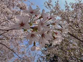 A9015BE1-9C66-4D99-94F2-DD9868FD6131/L0/001