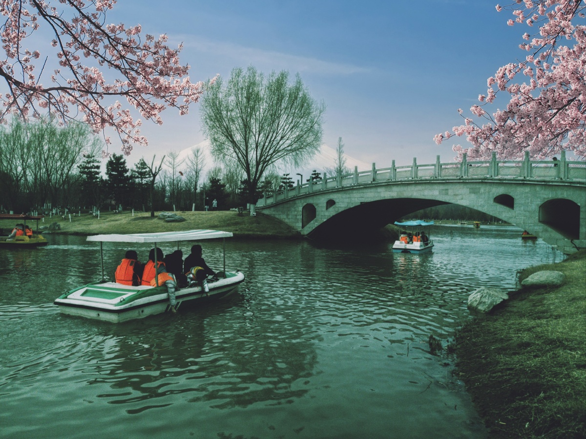 春到宁城湖修武县宁城公园辛丑年春