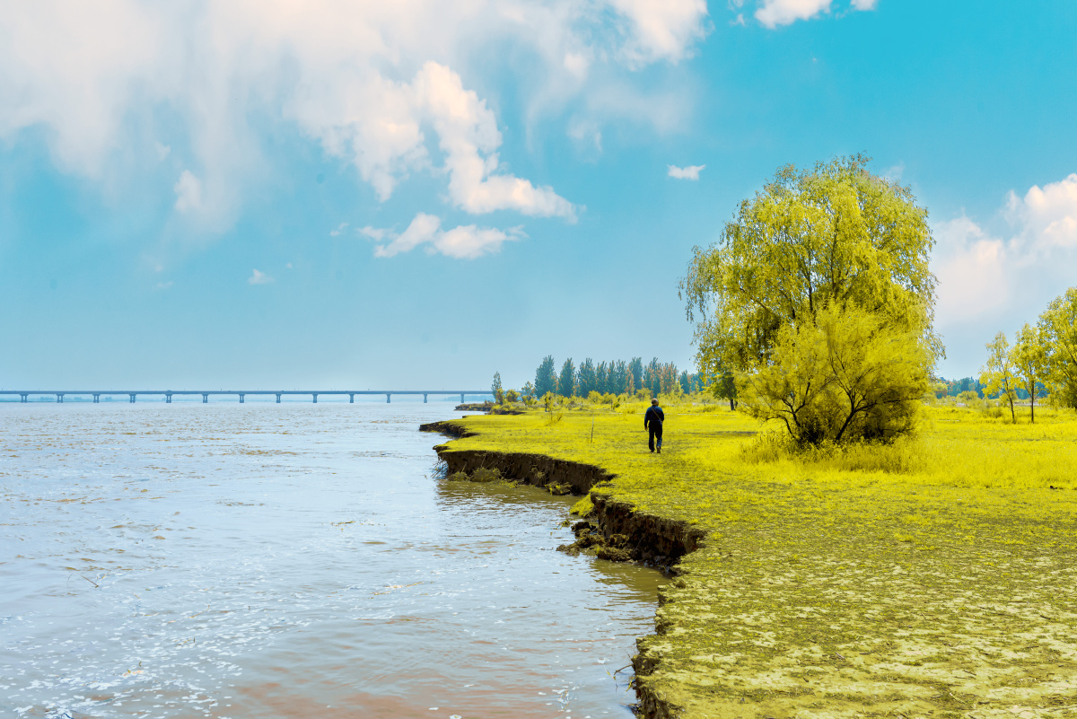 黄河岸边的风景