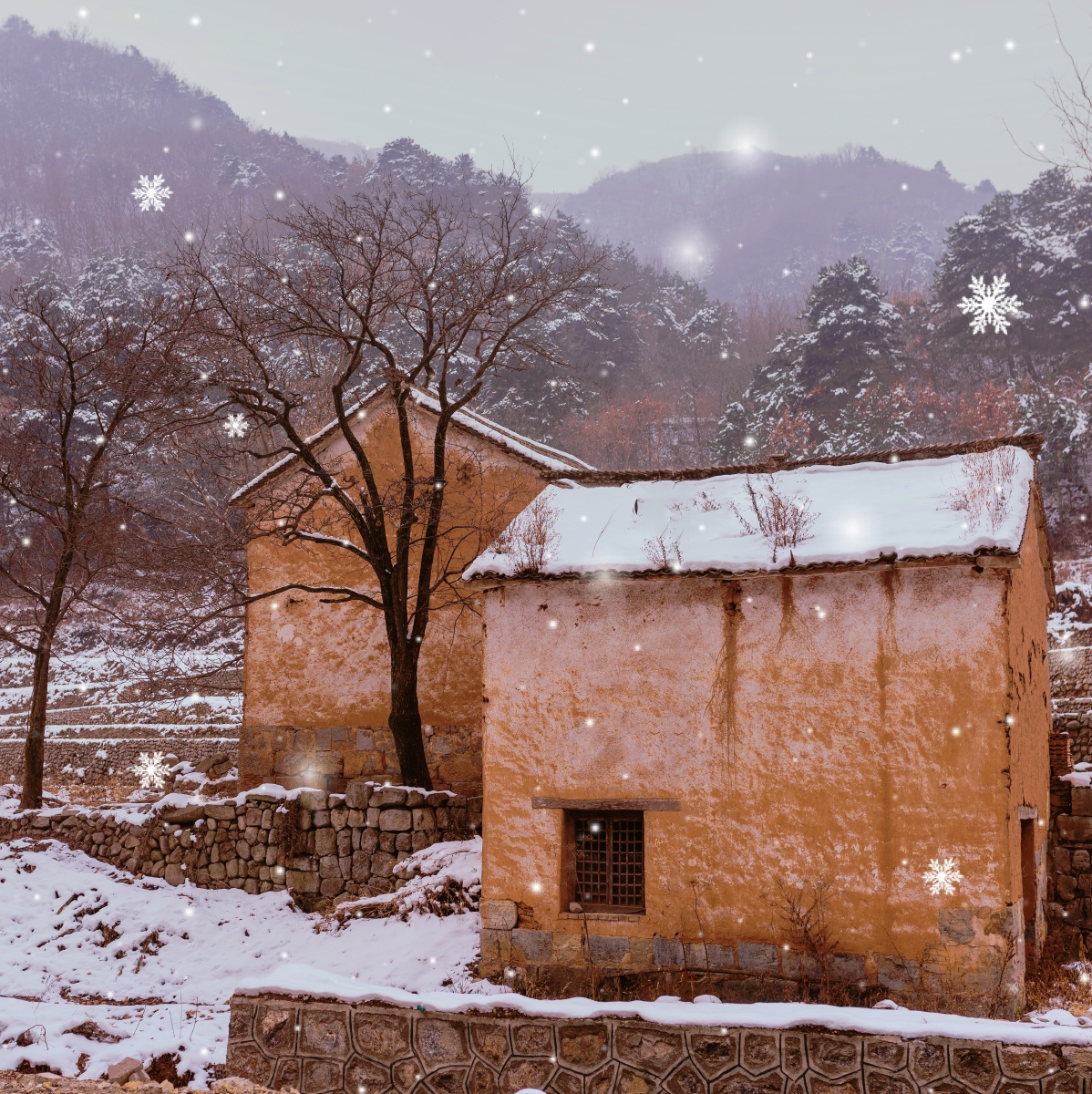 地理火烛一花精品摄影冬季雪冷#霜树#房子天气冻结的这张风光绝了老