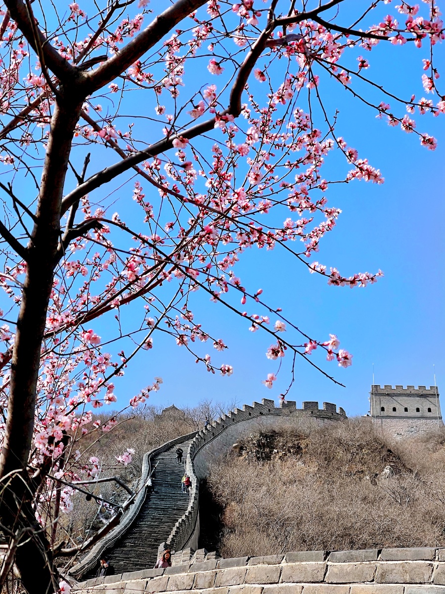 开往春天的列车拍北京当下网红居庸关长城