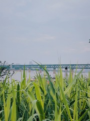 AE67E6D6-15D7-492D-9EEE-F65901A8C511/L0/001