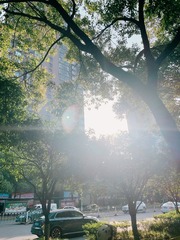 35AA4DE2-559F-4DB5-B011-CA6DDB98B70E/L0/001