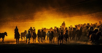 83673