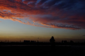 D7AF1311-4AE5-4A11-AA60-1C53241C329A/L0/001