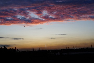 529D830B-93E8-42B1-8CB5-5AA878345CA3/L0/001