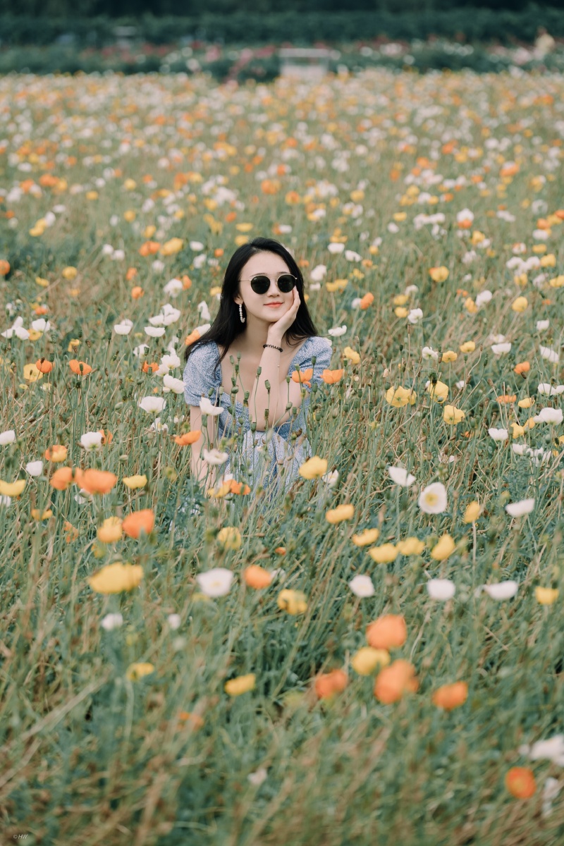 花海与女孩