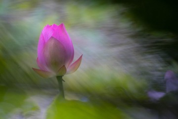 1031778