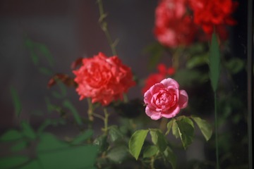 201805