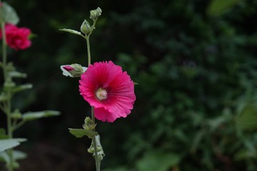 6EC6AFF6-F774-457E-94D0-679C9D845794/L0/001