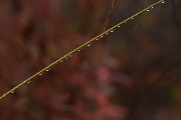 F54AF041-67F0-4948-B57E-8625470D1BAB/L0/001