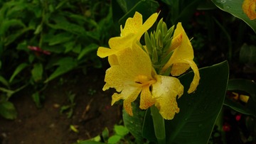 C5B676C8-F08B-4CBF-A24D-B8ABA7708FC6/L0/001