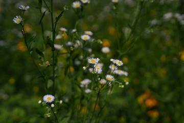 D9206484-DB72-4FCB-B55D-49A1D66B4B1E/L0/001