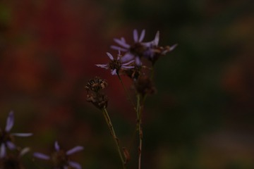 22E6D8A4-3DF2-467A-8DB0-845A3AE82A72/L0/001