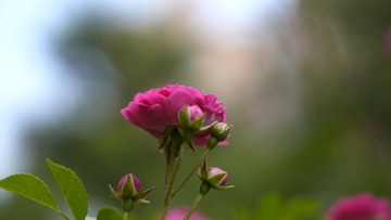 0525F1BD-0E4B-4FDB-B633-46C13007444B/L0/001